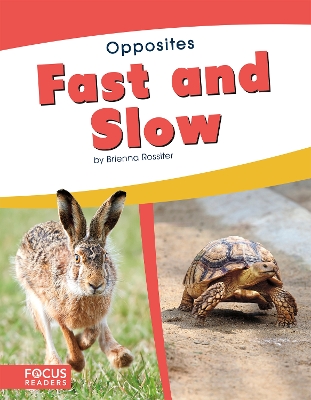 Fast and Slow by Brienna Rossiter