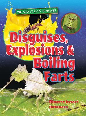Disguises, Explosions and Boiling Farts book