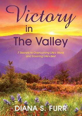 Victory in the Valley book