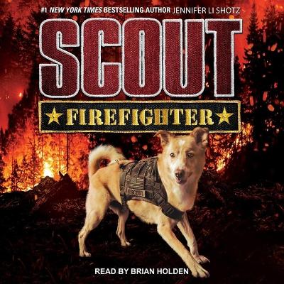 Scout: Firefighter by Jennifer Li Shotz