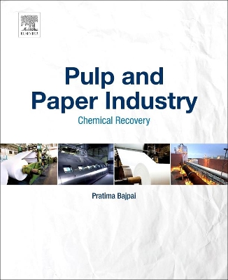 Pulp and Paper Industry book