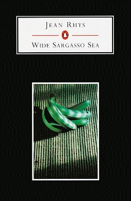 Wide Sargasso Sea book