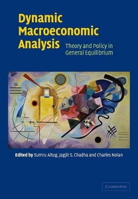 Dynamic Macroeconomic Analysis by Sumru Altug