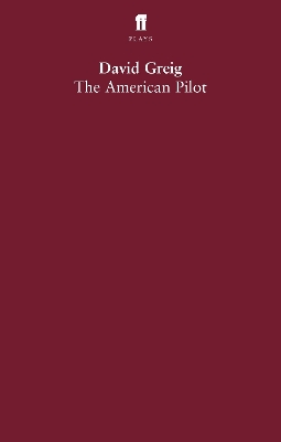 American Pilot book