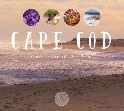 Cape Cod: Once around the Sun book