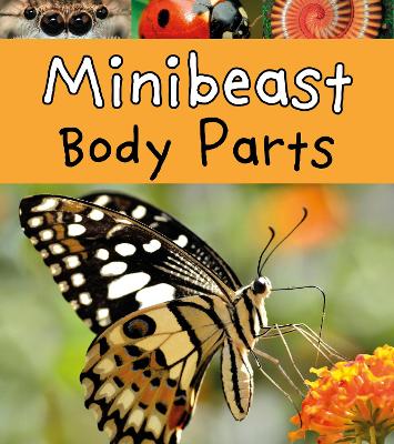 Minibeast Body Parts book