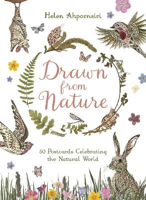 Drawn From Nature: 50 Postcards Celebrating the Natural World by Helen Ahpornsiri