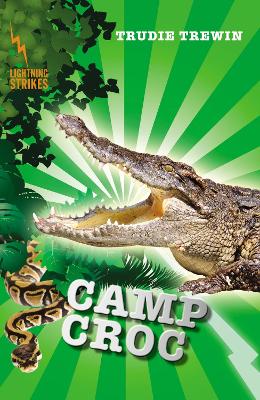 Lightning Strikes: Camp Croc book