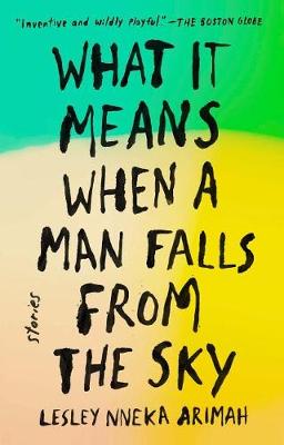 What It Means When a Man Falls from the Sky book