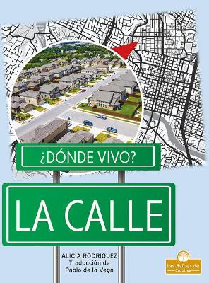 La Calle (Street) by Alicia Rodriguez