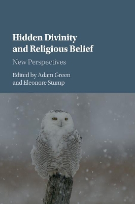 Hidden Divinity and Religious Belief by Adam Green