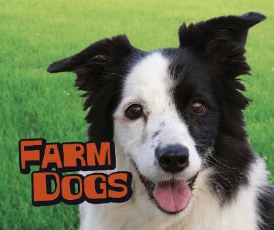 Farm Dogs book