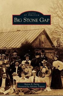 Big Stone Gap by Adriana Trigiani