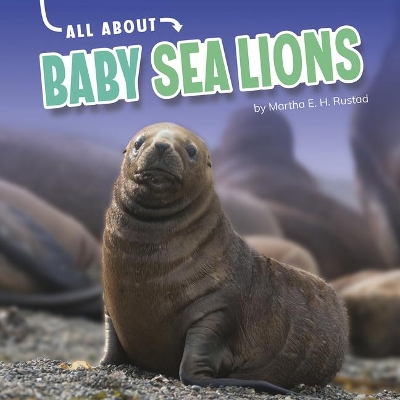 Sea Lions book