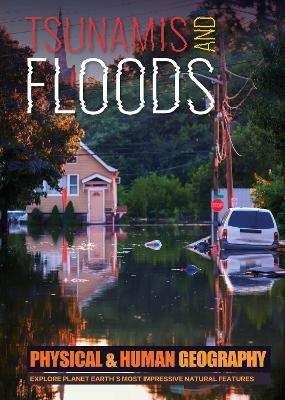Tsunamis and Floods book