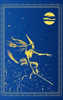 The Blue Fairy Book book