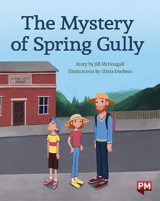 The Mystery of Spring Gully book