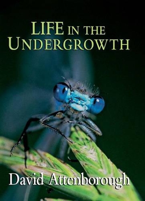 Life in the Undergrowth book