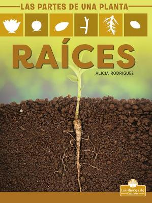 Raíces (Roots) by Alicia Rodriguez
