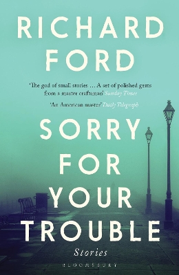 Sorry For Your Trouble book