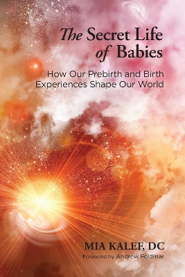 Secret Life Of Babies book