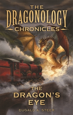 Dragon's Eye book