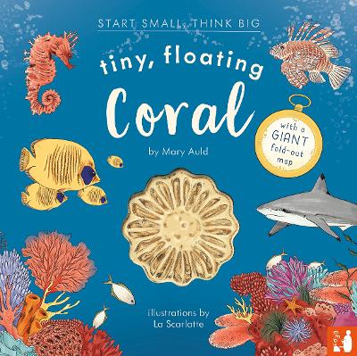 Tiny, Floating Coral: A fact-filled picture book about the life cycle of coral, with fold-out map of the world’s coral reefs (ages 4-8) book