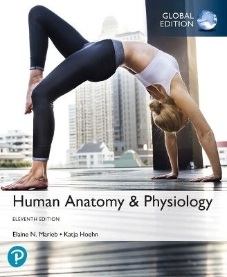 Human Anatomy & Physiology, Global Edition book