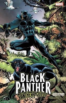 Black Panther: Panther's Quest by Don McGregor