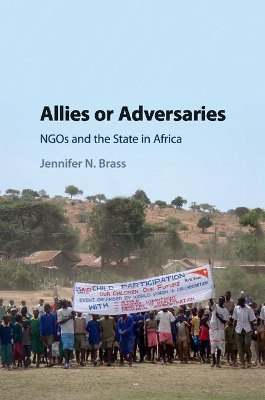 Allies or Adversaries book