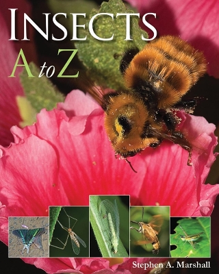 Insects A to Z by Stephen A Marshall