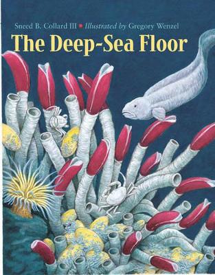 Deep-Sea Floor book