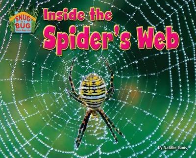 Inside the Spider's Web book