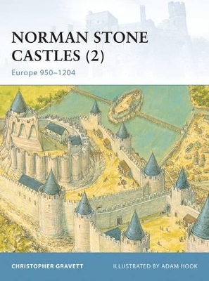 Norman Stone Castles (2) book