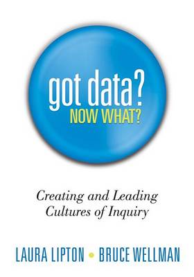 Got Data? Now What? book