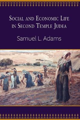 Social and Economic Life in Second Temple Judea book