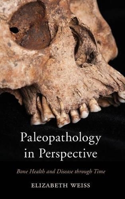 Paleopathology in Perspective book