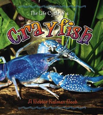 Life Cycle of a Crayfish book