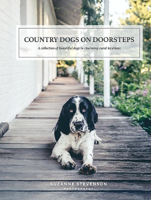 Country Dogs on Doorsteps by Suzanne Stevenson