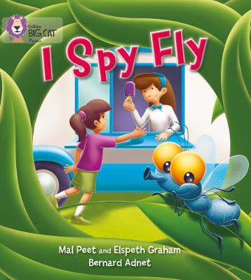 I Spy Fly book