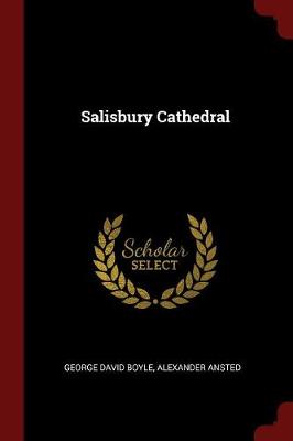 Salisbury Cathedral by George David Boyle