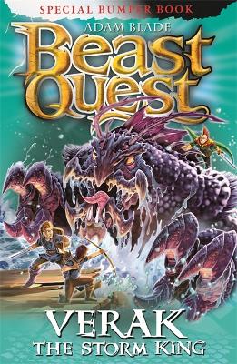 Beast Quest: Verak the Storm King book