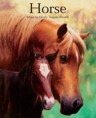 Horse book