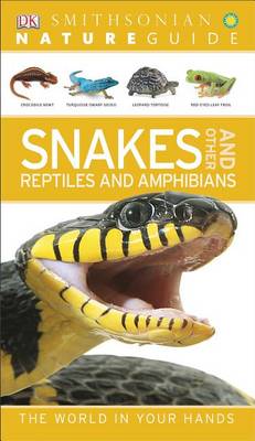 Snakes and Other Reptiles and Amphibians by DK