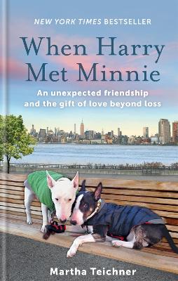 When Harry Met Minnie: An unexpected friendship and the gift of love beyond loss book