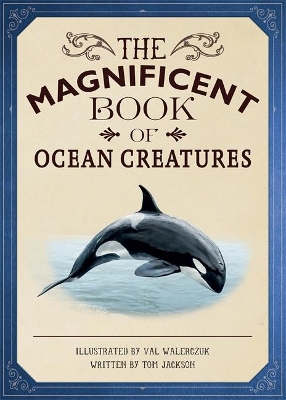 Magnificent Book of Ocean Creatures by Tom Jackson