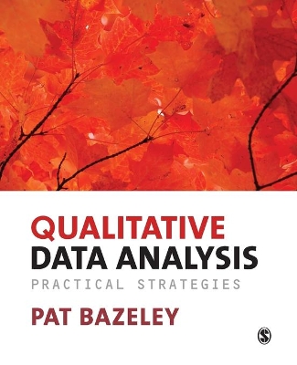 Qualitative Data Analysis book