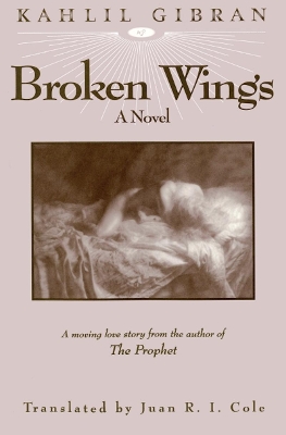 Broken Wings book