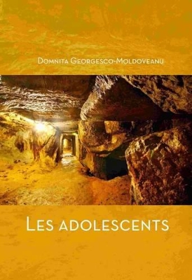 Les Adolescents (Coeur D'or): 2015 book