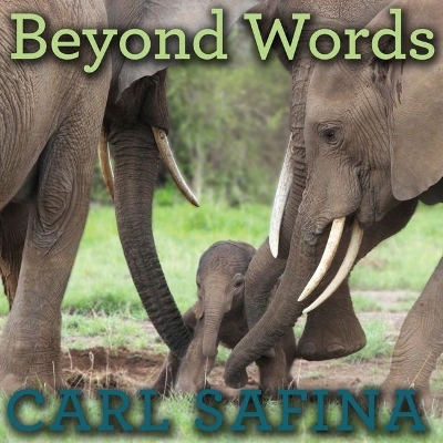 Beyond Words: What Animals Think and Feel book